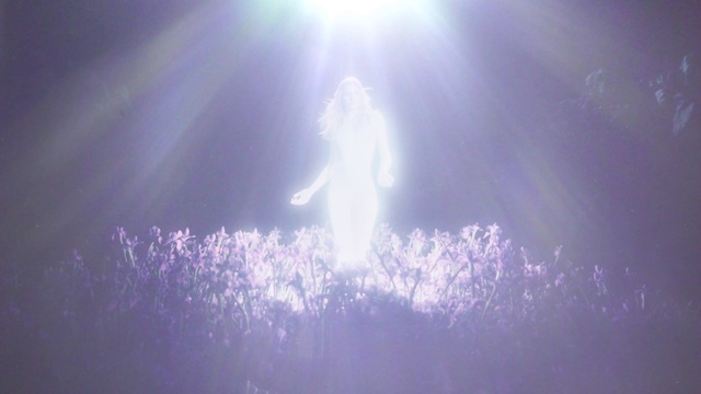 Video Reference: Atmosphere, Plant, Automotive lighting, Tree, Sunlight, Flower, Lens flare, Astronomical object, Grass, Electric blue