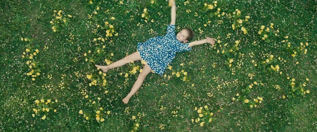 Video Reference: Flower, People in nature, Green, Nature, Plant, Happy, Yellow, Grass, Leisure, Grassland