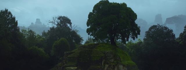 Video Reference: Sky, Plant, Natural landscape, Terrestrial plant, Tree, Grass, Trunk, Landscape, Forest, Hill