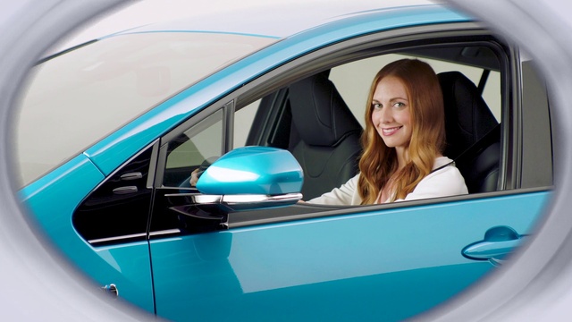 Video Reference: Car, Smile, Vehicle, Motor vehicle, Hood, Automotive design, Plant, Automotive exterior, Vehicle door, Automotive mirror