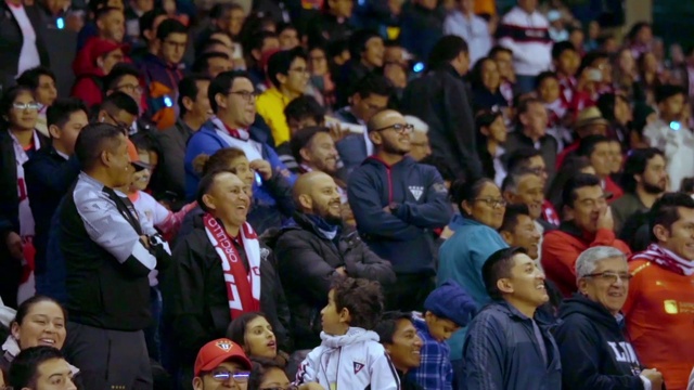 Video Reference: Glasses, Hat, Fan, Jacket, Crowd, Event, Competition event, Stadium, Suit, Sport venue