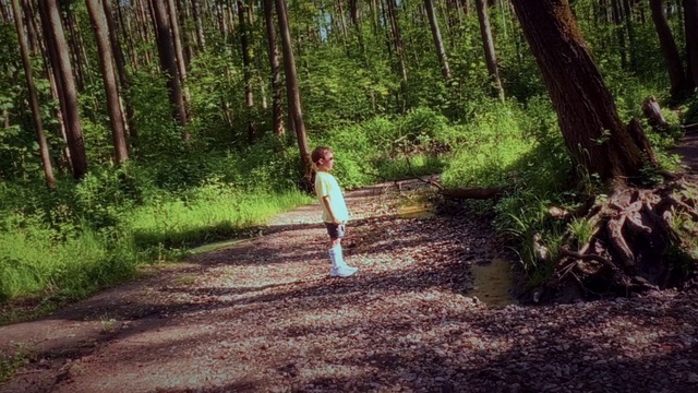 Video Reference: Plant, Plant community, Ecoregion, People in nature, Natural landscape, Wood, Tree, Branch, Terrestrial plant, Trunk