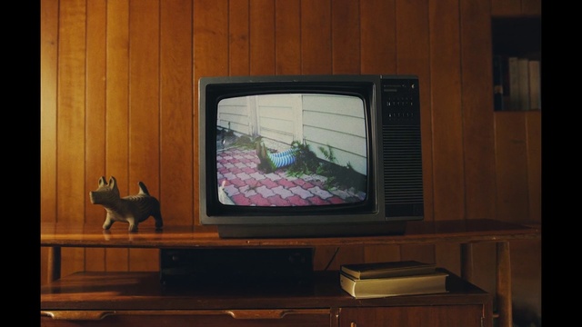 Video Reference: Television, Output device, Wood, Television set, Analog television, Entertainment center, Cable television, Home appliance, Flat panel display, Computer monitor accessory