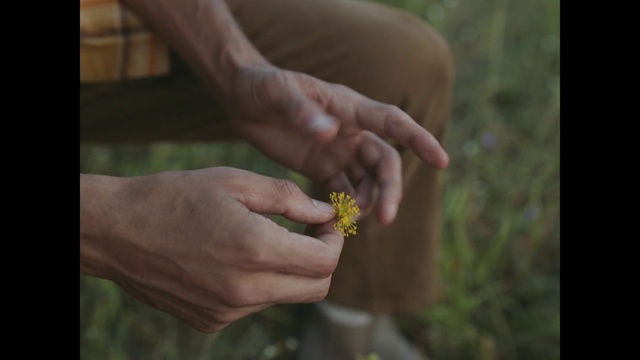 Video Reference: Hand, Plant, People in nature, Gesture, Finger, Grass, Thumb, Wood, Wrist, Nail