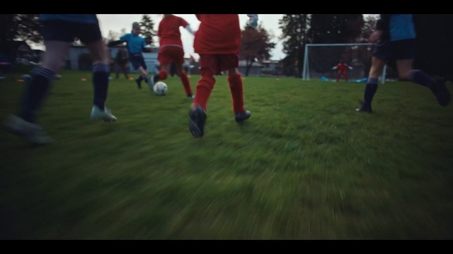 Video Reference: Shorts, Sports equipment, Ball, Football, Soccer, Grass, Player, Plant, Football equipment, Soccer ball