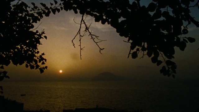 Video Reference: Water, Sky, Atmosphere, Afterglow, World, Branch, Cloud, Dusk, Natural landscape, Sunlight