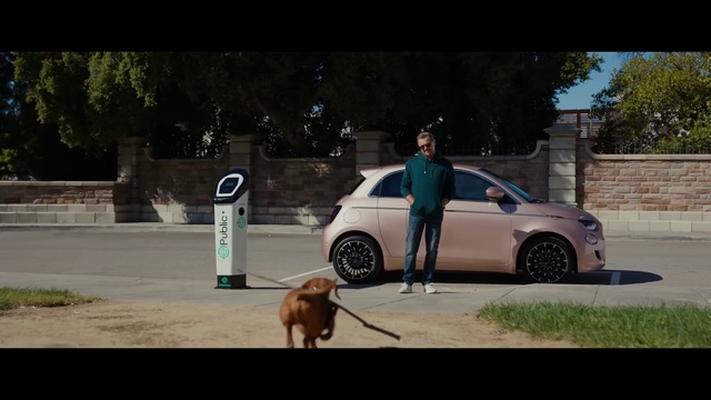 Video Reference: Tire, Wheel, Dog, Car, Plant, Vehicle, Carnivore, Automotive lighting, Asphalt, Alloy wheel