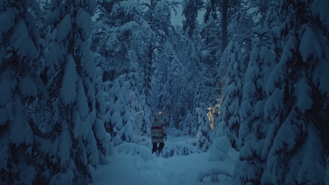 Video Reference: Snow, Plant, Slope, Natural landscape, Tree, Sky, Twig, Wood, Atmospheric phenomenon, Terrain