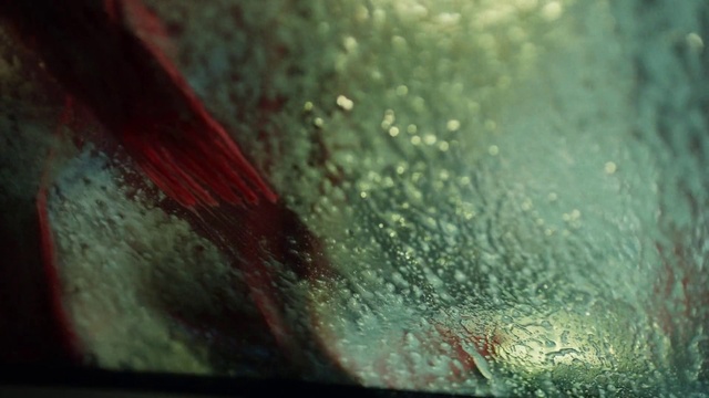 Video Reference: Water, Liquid, Window, Wood, Grass, Tints and shades, Glass, Windshield, Moisture, Close-up