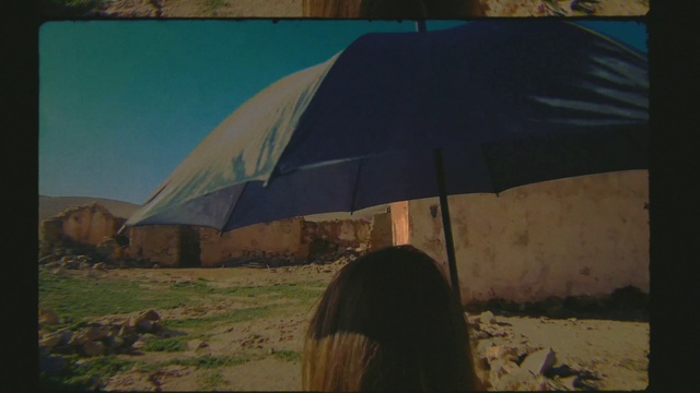 Video Reference: Ecoregion, Tent, Vertebrate, Shade, Natural environment, Plant, Tarpaulin, Mammal, Grass, Landscape
