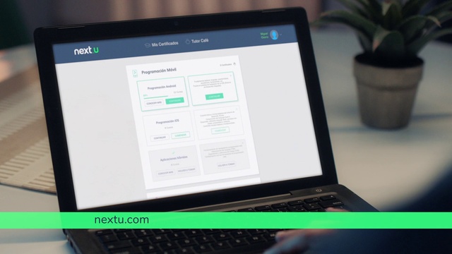 Video Reference: Computer, Personal computer, Laptop, Netbook, Output device, Product, Input device, Flowerpot, Plant, Peripheral