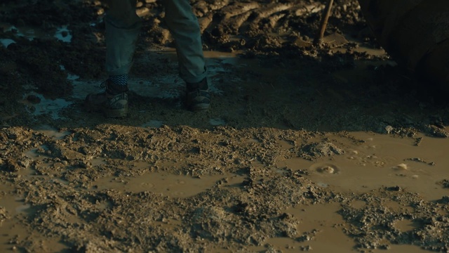 Video Reference: Wood, Sunlight, Road surface, Body of water, Automotive tire, Asphalt, Landscape, Geological phenomenon, Sand, Grass