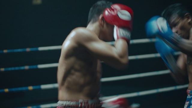 Video Reference: Shorts, Arm, Sports uniform, Muscle, Glove, Boxing glove, Human body, Combat sport, Sports gear, Striking combat sports