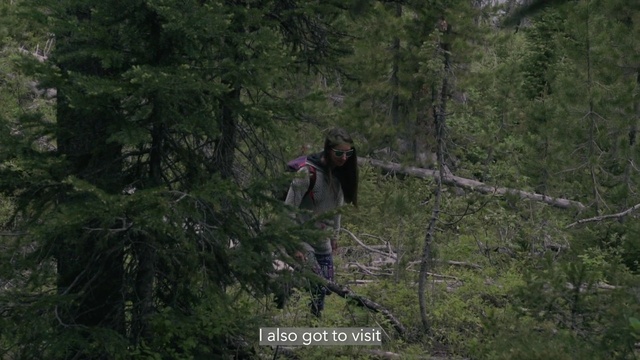 Video Reference: Plant, Tree, Wood, Terrestrial plant, Accipitridae, Beak, Twig, Sea eagle, Trunk, Forest