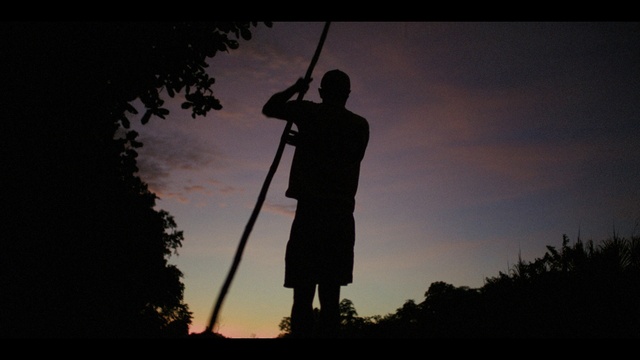 Video Reference: Cloud, Sky, Tree, Tints and shades, Dusk, Flag, Plant, Landscape, Darkness, Grass