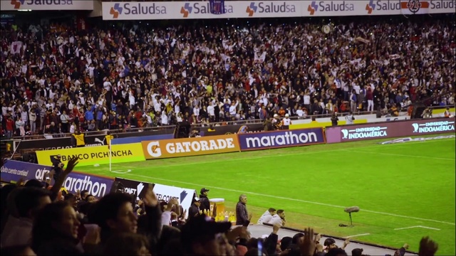 Video Reference: World, Player, Fan, Sports, Grass, Competition event, Sports jersey, Crowd, Stadium, Sport venue