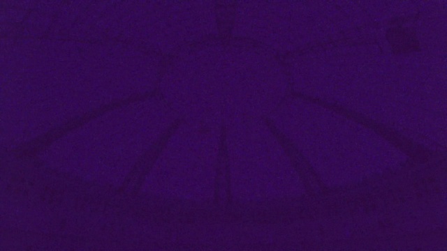 Video Reference: Purple, Violet, Tree, Font, Tints and shades, Electric blue, Pattern, Magenta, Symmetry, Circle