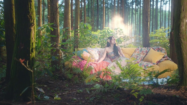 Video Reference: Plant, Plant community, Wood, Sunlight, Grass, Terrestrial plant, Tree, Trunk, Natural landscape, Couch