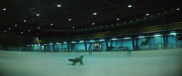 Video Reference: Dog, Building, Carnivore, Dog breed, Flooring, Leisure, Recreation, Ice rink, Glass, Shadow