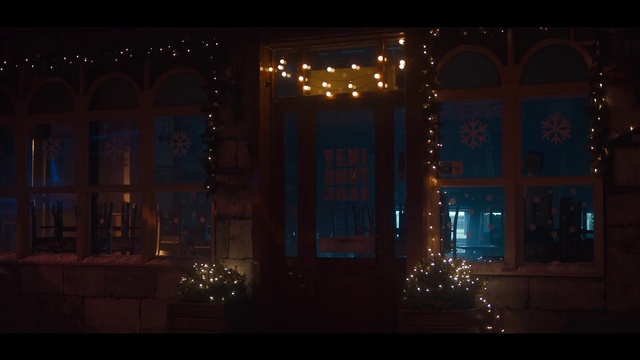 Video Reference: Window, Building, Fixture, Electricity, Christmas decoration, Ornament, Plant, Midnight, Facade, Tints and shades