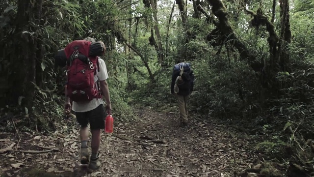 Video Reference: Plant, Plant community, Luggage and bags, Tree, Bag, Natural landscape, Backpack, Hiking equipment, Shorts, People in nature