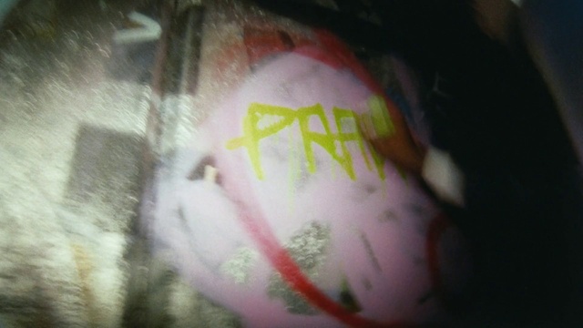 Video Reference: Eye, Human body, Ball, Finger, Art, Eyelash, Grass, Tints and shades, Twig, Font