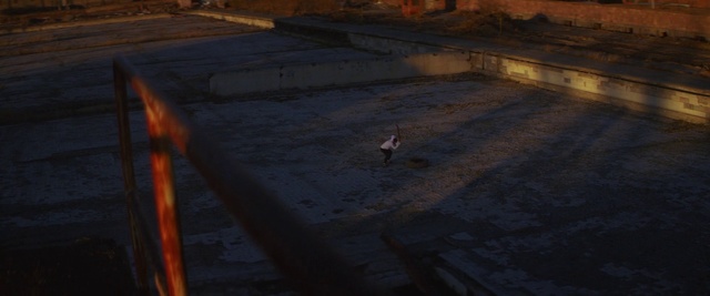 Video Reference: Bird, Road surface, Asphalt, Wood, Flooring, Grass, Landscape, Road, Concrete, Soil