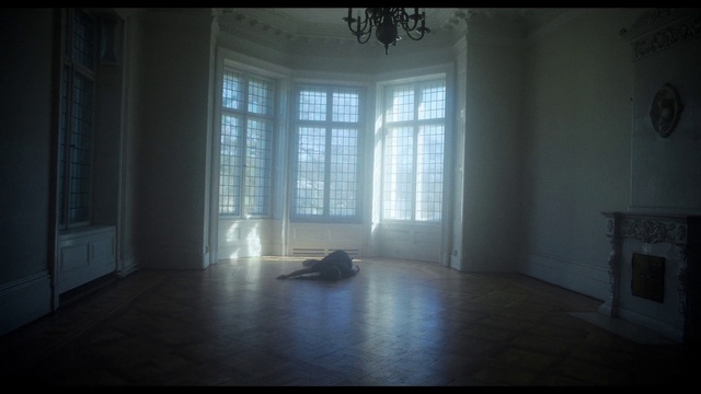 Video Reference: Window, Wood, Door, Sunlight, Flooring, Plant, Hardwood, House, Shade, Tints and shades