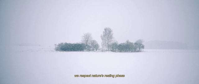 Video Reference: Natural landscape, Sky, Branch, Twig, Snow, Freezing, Landscape, Rectangle, Tints and shades, Fog