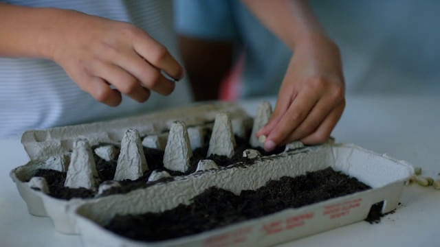 Video Reference: Hand, Finger, Nail, Cuisine, Recipe, Wood, Ingredient, Dish, Safety glove, Thumb