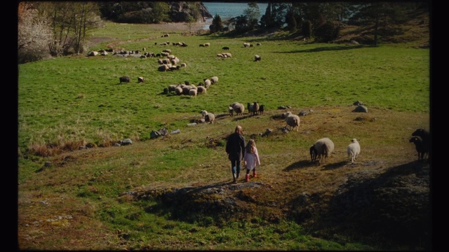 Video Reference: Plant, Ecoregion, Natural environment, Natural landscape, Tree, Sheep, Grassland, Working animal, Grazing, Landscape