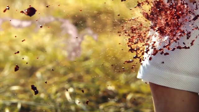 Video Reference: Liquid, Amber, Leaf, Orange, People in nature, Sunlight, Grass, Happy, Natural landscape, Tints and shades