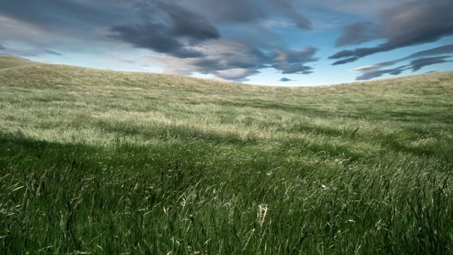 Video Reference: Cloud, Sky, Plant community, Natural landscape, Plant, Grass, Sunlight, Atmospheric phenomenon, Landscape, Horizon