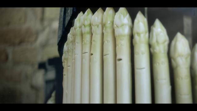 Video Reference: Wood, Vegetable, Plant, Art, Tree