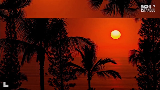 Video Reference: Sky, Plant, Daytime, Photograph, Afterglow, Water, Light, Leaf, Nature, Tree