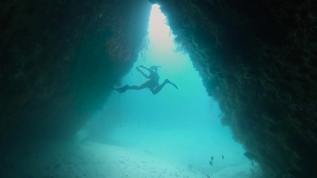 Video Reference: Water, Underwater diving, Divemaster, Scuba diving, Diving equipment, Fluid, Underwater, Organism, Outdoor recreation, Aquanaut