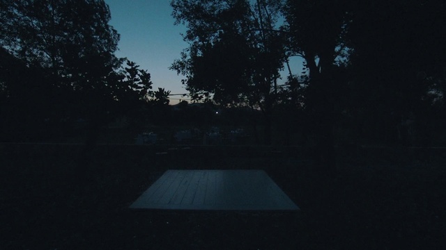 Video Reference: Sky, Natural landscape, Tree, Wood, Road surface, Shade, Tints and shades, Grass, Landscape, Midnight