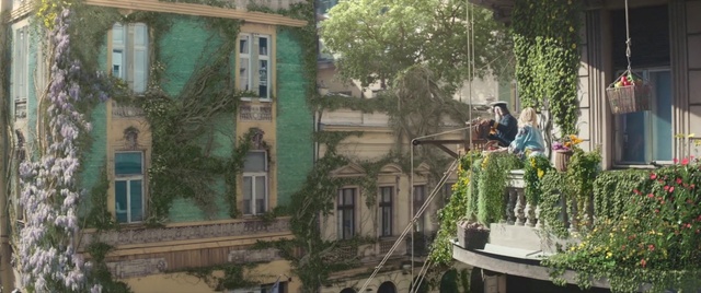 Video Reference: Window, Building, Plant, Urban design, Tree, Neighbourhood, Residential area, City, Roof, Facade