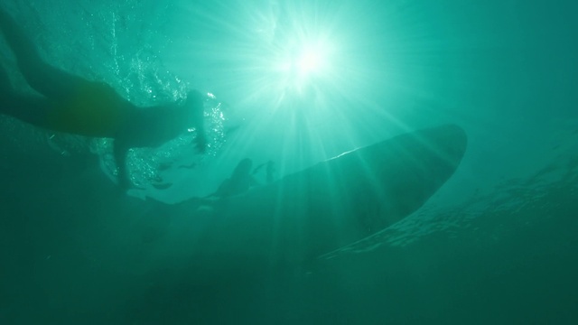 Video Reference: Water, Underwater diving, Scuba diving, Vertebrate, Divemaster, Azure, Underwater, Diving equipment, Fluid, Organism