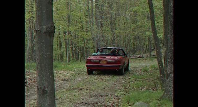 Video Reference: Plant, Wheel, Tire, Vehicle, Car, Window, Tree, Automotive lighting, Motor vehicle, Automotive tail & brake light