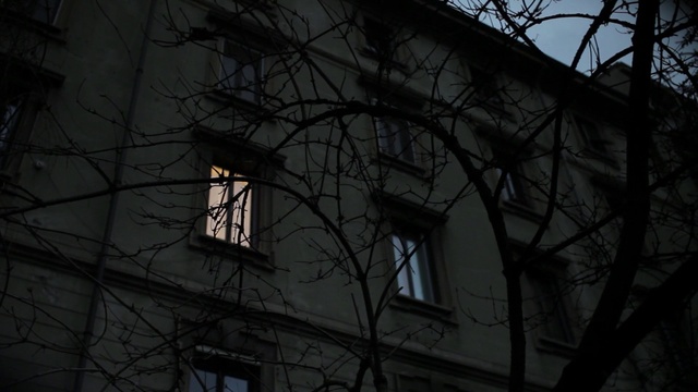 Video Reference: Atmosphere, Window, Building, Sky, Twig, Electricity, Fixture, Grey, Wood, Facade