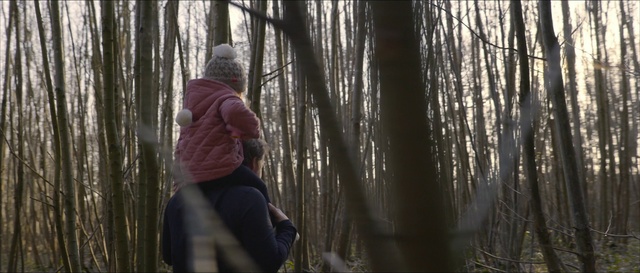 Video Reference: Plant, People in nature, Wood, Natural landscape, Trunk, Twig, Tree, Terrestrial plant, Jacket, Grass