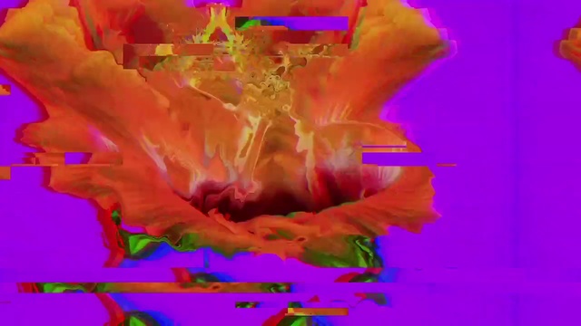 Video Reference: Plant, Petal, Pink, Paint, Art, Flower, Painting, Magenta, Tree, Pattern