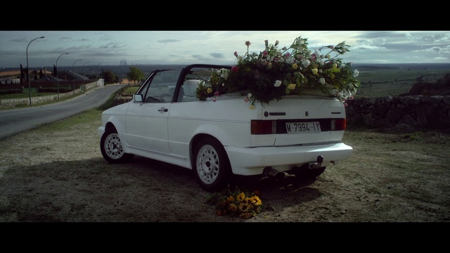 Video Reference: Wheel, Tire, Car, Vehicle, Plant, Vehicle registration plate, Automotive tire, Sky, Motor vehicle, Automotive design