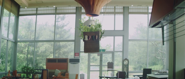 Video Reference: Plant, Property, Furniture, Window, Shade, Wood, Interior design, Lighting, Chair, Flowerpot