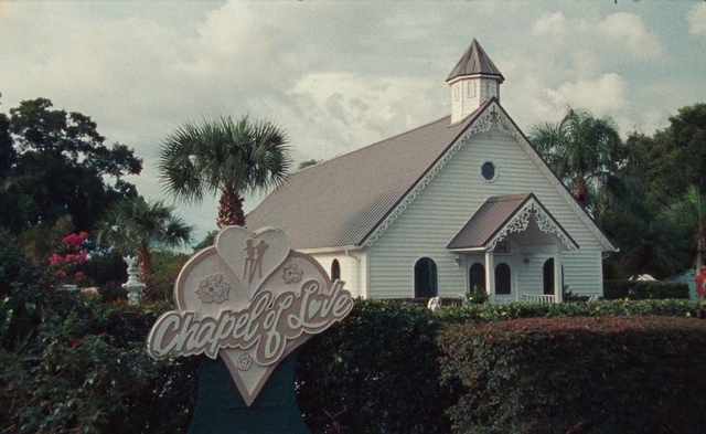 Video Reference: Cloud, Sky, Plant, Window, Tree, Landmark, Grass, Landscape, Facade, Wood