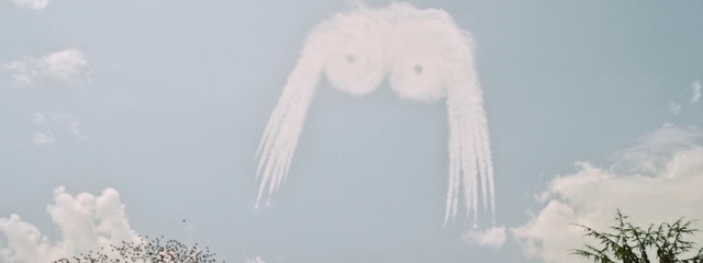 Video Reference: Marine invertebrates, Jellyfish, Arthropod, Atmospheric phenomenon, Cloud, Marine biology, Art, Invertebrate, Cnidaria, Underwater