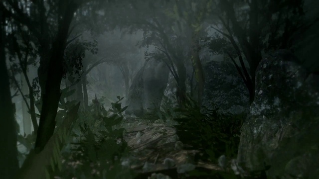 Video Reference: Atmosphere, Plant, Natural landscape, Tree, Wood, Trunk, Terrestrial plant, Twig, Tints and shades, Landscape