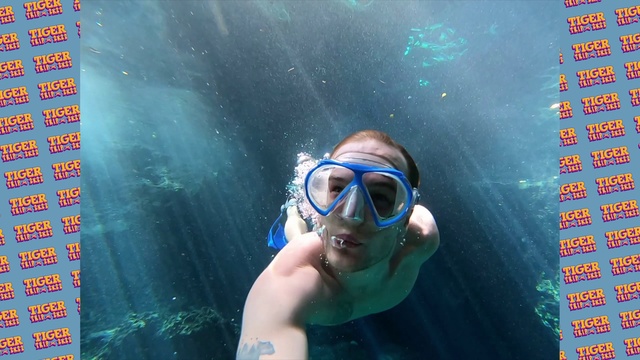Video Reference: Water, Photograph, Underwater diving, Goggles, Organism, Underwater, Diving equipment, Eyewear, Headgear, Leisure