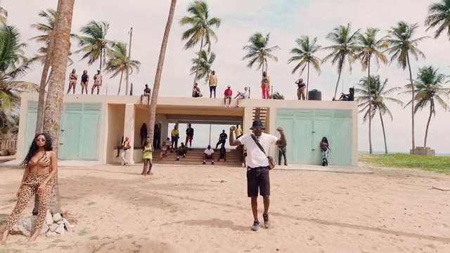 Video Reference: Sky, Shorts, Tree, Arecales, Travel, Leisure, Landscape, Adaptation, Plant, Palm tree